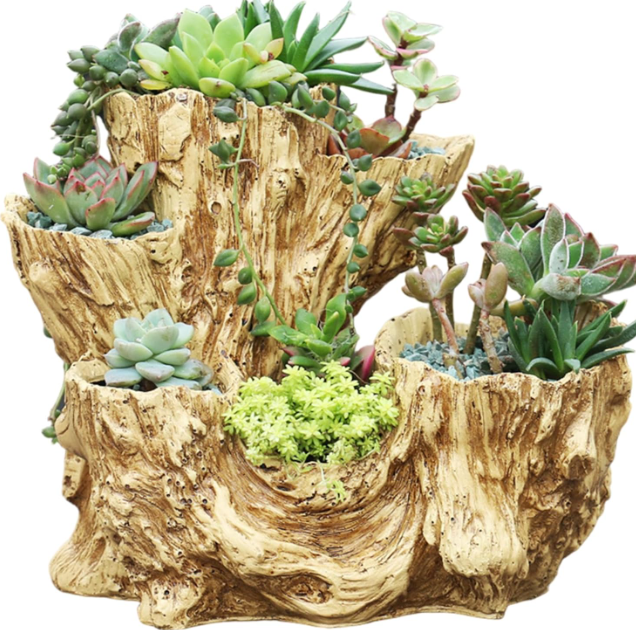 Driftwood Plant Pot – Rustic Resin Flower
